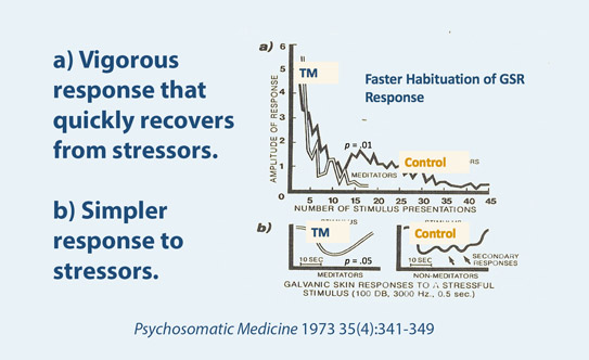 Faster Recovery from Stress: The Physiology of Increased Resilience